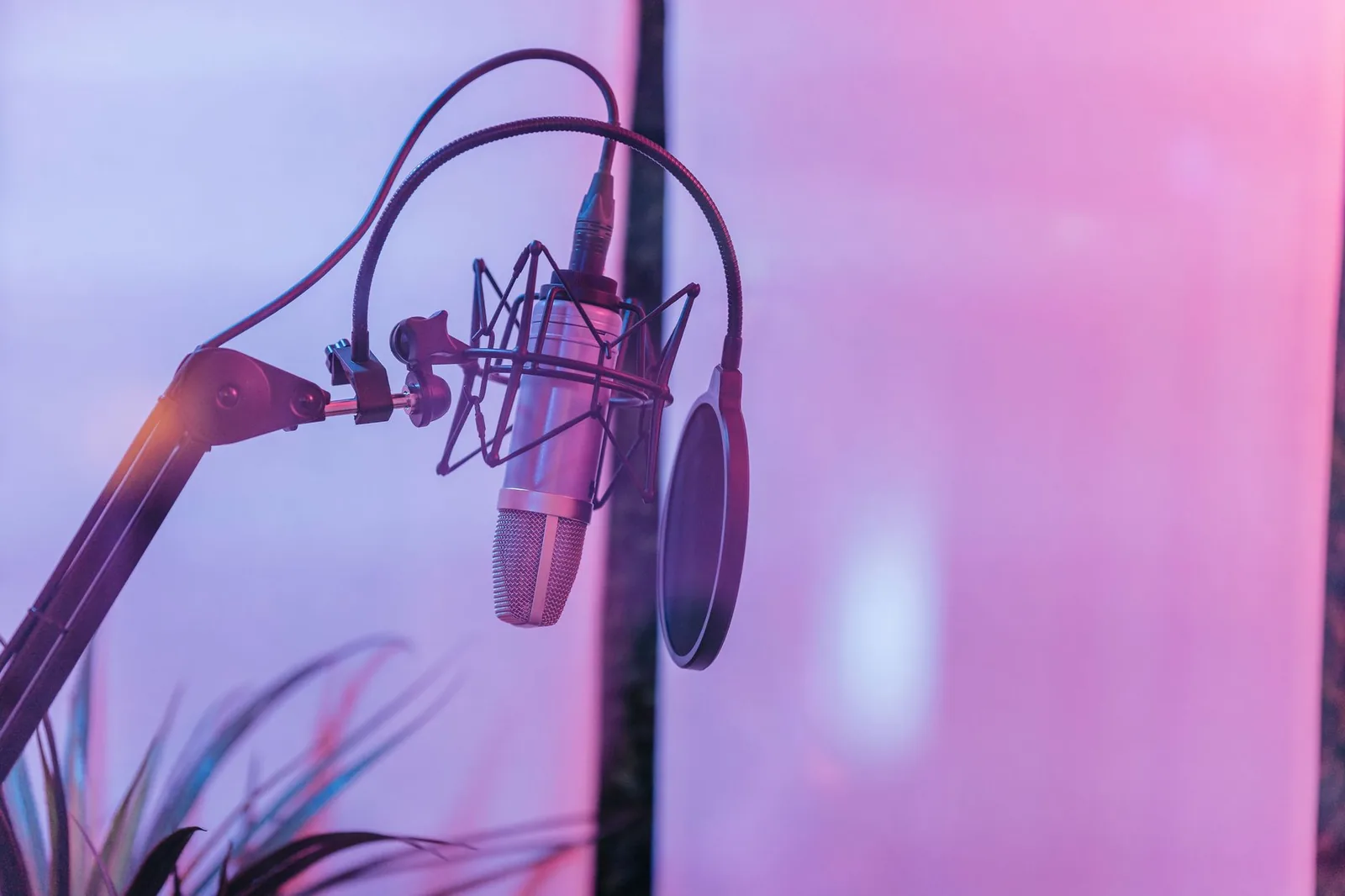 Micrófono profesional de estudio para el análisis de la disfonia en Brian Littrell